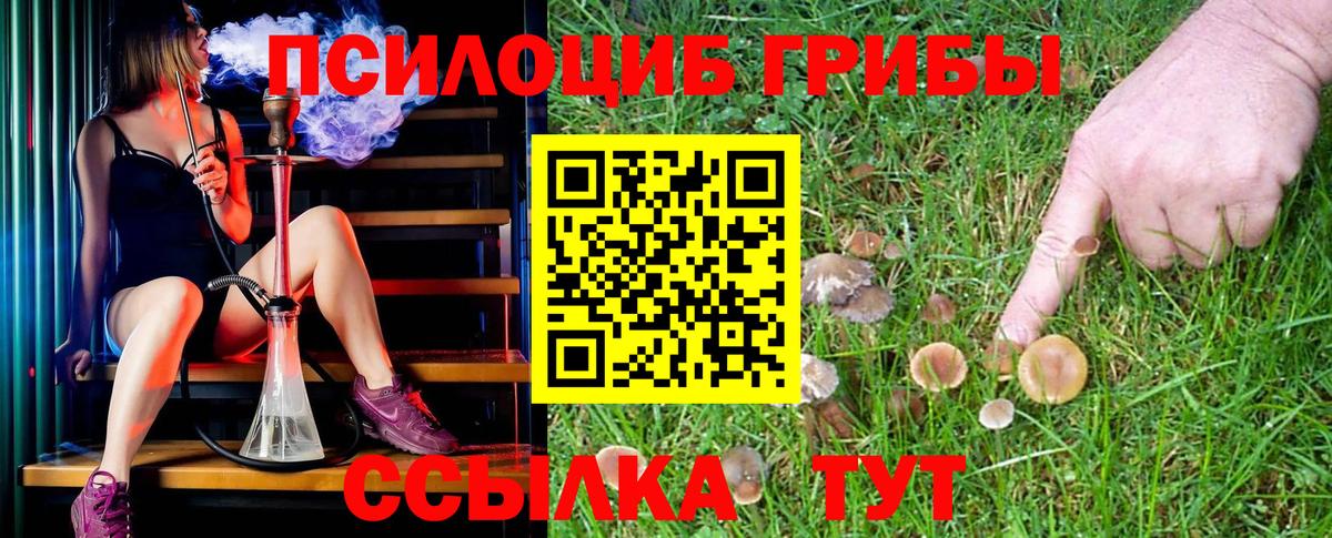 Галлюциногенные грибы Magic Shrooms Чехов