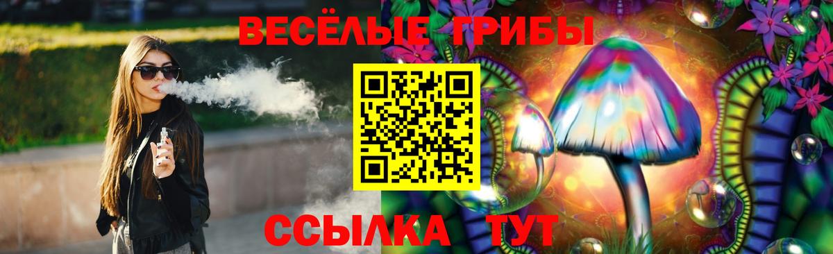 Галлюциногенные грибы MAGIC MUSHROOMS  Вход с VPN  Чехов 